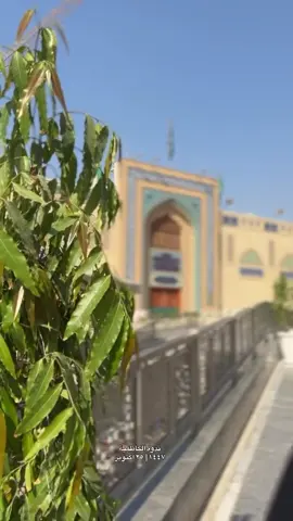 #ندوة #الكاظميه_المقدسه #مرقد_الامام_الكاضم_عليةالسلام #اكسبلور #الكاظمية 