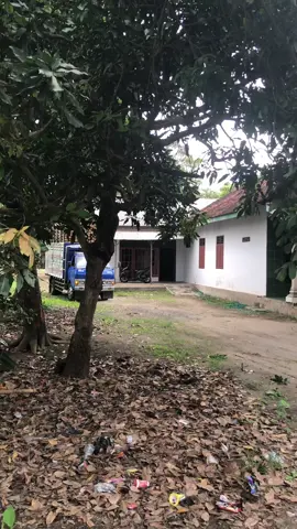 @HEREX-CASPER A.jendral.wito#oborrampengrup #promomakangajian #sengonbalap #kediri24jam #albasiasengonbalap 