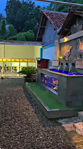 #aesthetic #xzybca #merpatikolongbebas #bissmilahfyp #fypシ 