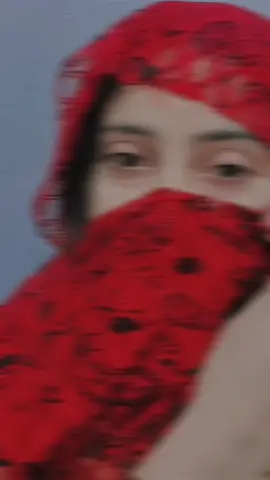 نهاركم سعيد 