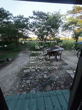 အဆန်းကြီးတွေဗျာ မြို့သားကြီးတွေက😞 #crocodile #fypシ #burmese #fyp #အလှခြင်းပြိုင် 