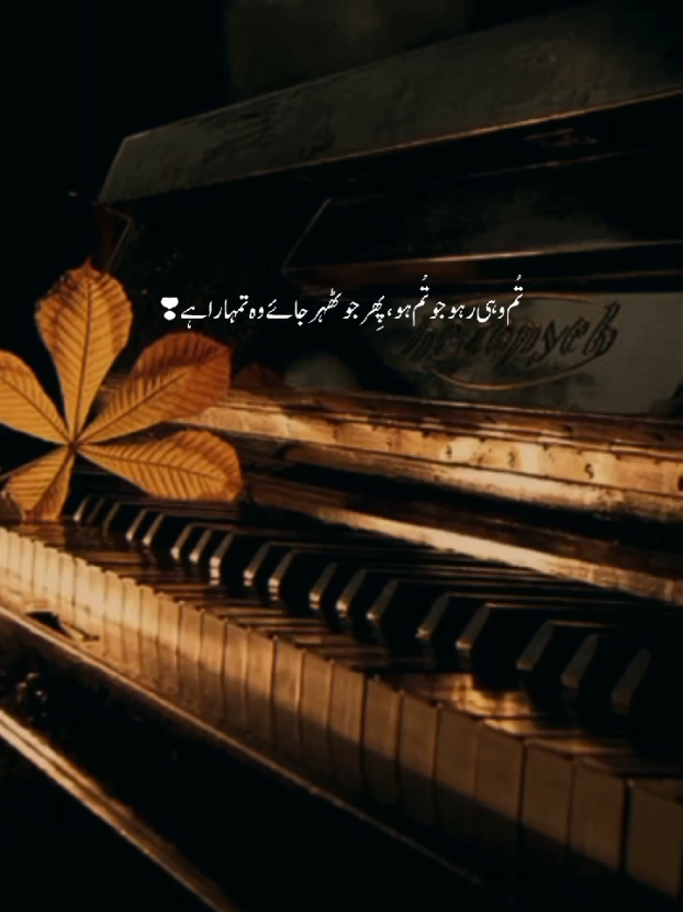 🌚 ... ..#fyp #tiktok #trending #reality #poetrystatus 