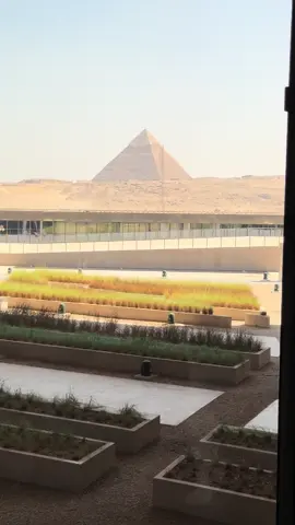 view الاهرامات من المتحف المصري الكبير 😱#المتحف_المصري_الكبير #الاهرامات #مصر🇪🇬 #سياحة