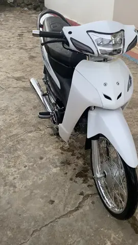 😍✈️#tiktokawardsvn#Lamsieu🇻🇳 #xedovietnam🇻🇳#fyp #xuhuongtiktok 