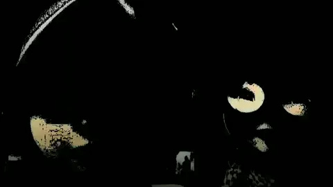 kuasa gemoy 😭🤣#boboiboygalaxy 