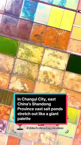 کوردی/عربي/English لە شاری چانگی لە پارێزگای شاندۆنگ لە ڕۆژهەڵاتی چین، پۆندی خوێی بەرفراوان وەک تابلۆیەکی زەبەلاح درێژ دەبنەوە. ‏‎ــــــــ ـــــــــ ـــــــــ ــــــــ ــــــــ في مدينة تشانغيي، بمقاطعة شاندونغ شرقي الصين، تمتد برك الملح الشاسعة مثل لوحة عملاقة. ـــــــ ـــــــــ ـــــــــ ـــــــــ ـــــــ In Changyi City, east China's Shandong Province vast salt ponds stretch out like a giant palette. #china #changyi #shandong #chinaa #chinabeauty