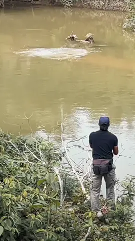 Sambaran top wata idaman para caster #sebarauhunter #disungaikitajaya #fyppppppppppppppppppppppp #fyppppppppppppppppppppppp #mancing 