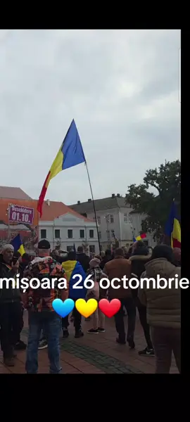 UNITATE NAȚIONALĂ #FORYOU #500k #civic 