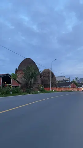 Đoạn đường này đẹp quá 😅#64vinhlong #mangthit64g1 