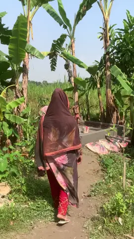 বাড়ির বউদের জালার শেষ নাই 🙃 #reelsvideoシ #instagram #100MillionViews #like 