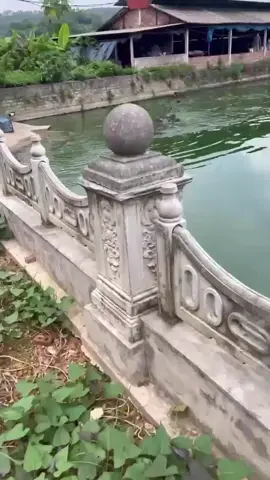 Heo nước..?