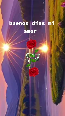 buenos días mi amor #teamo #buenosdias #lindodia #paratii #frasesdeamor 