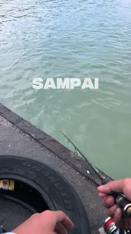 umume minggu esok #mancingmania #mancing #fypシ゚ 