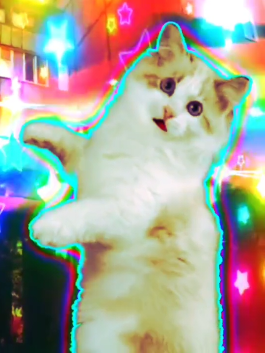 woah guys look I am so english today #СырникКрутойКот #rainbowcore #cat #кот #grapes 