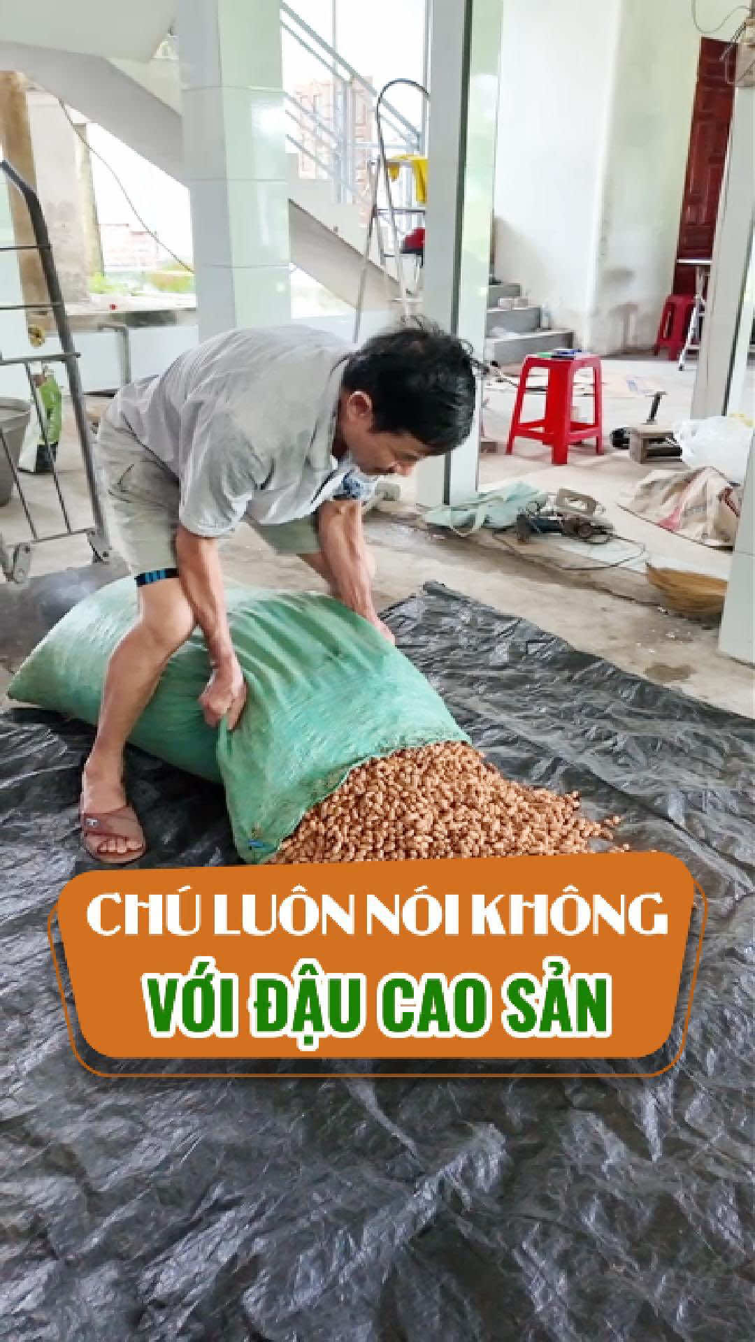 Ép dầu chỉ mỗi loại đậu quê, nói không với đậu phộng - lạc cao sản #epdauchubang #dauphongchubang #LearnOnTikTok #thucphamsach #epdauthucong 