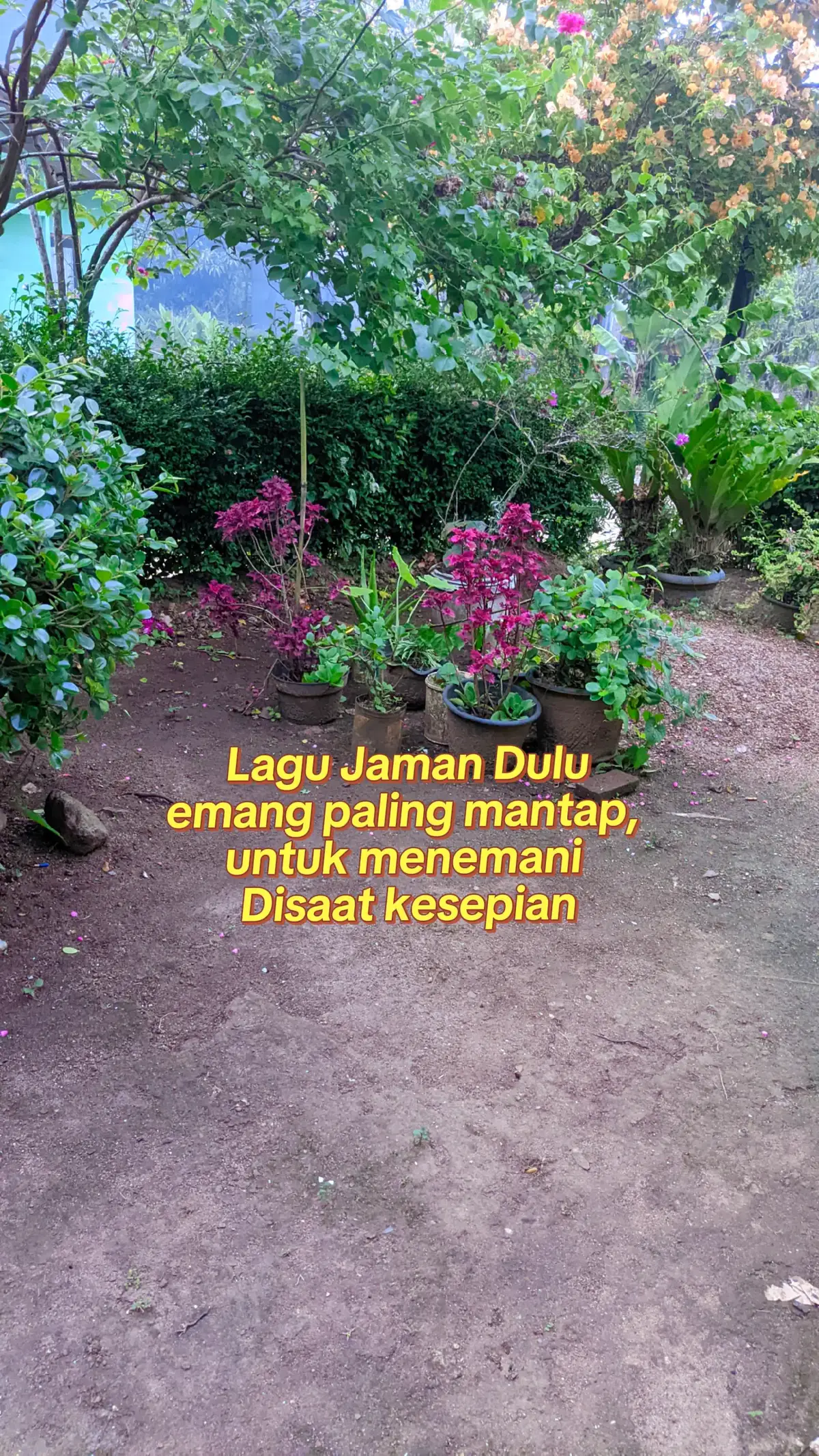 Dloyd apa salah dan dosaku #tiktok?pelit?fyp #lagu70an80an90an #dloyd_apasalahdandosaku #lagujamandulu 