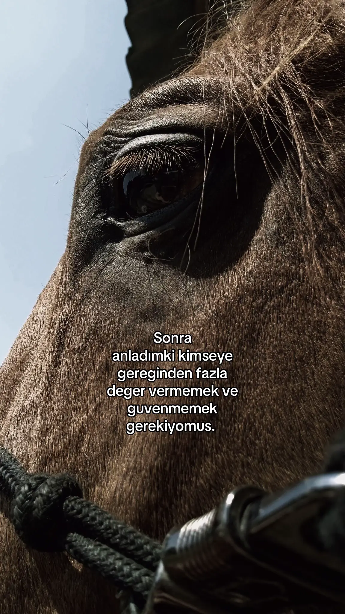 #beniöneçıkart #onecikarttiktok 