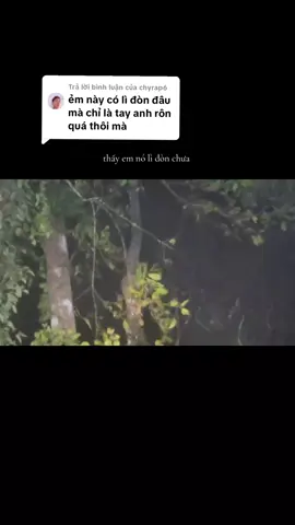 Trả lời @chyrap6 đã vào tới cửa rừng.#hunterxhunter #laos🇱🇦 