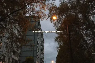 криминалист - бутырка | мой тгк в описании #рекомендации #песня #вайб #бутырка 