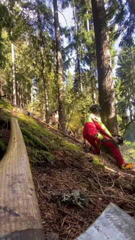 400c😍🤟🏼#mölltal #stihlchainsaw #stihlms400c #holzhockn #vollgasssss😂🍻 @antonedlinger 