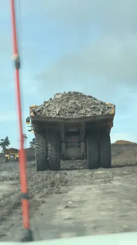 #tambang #tambangbatubara #storytambang 