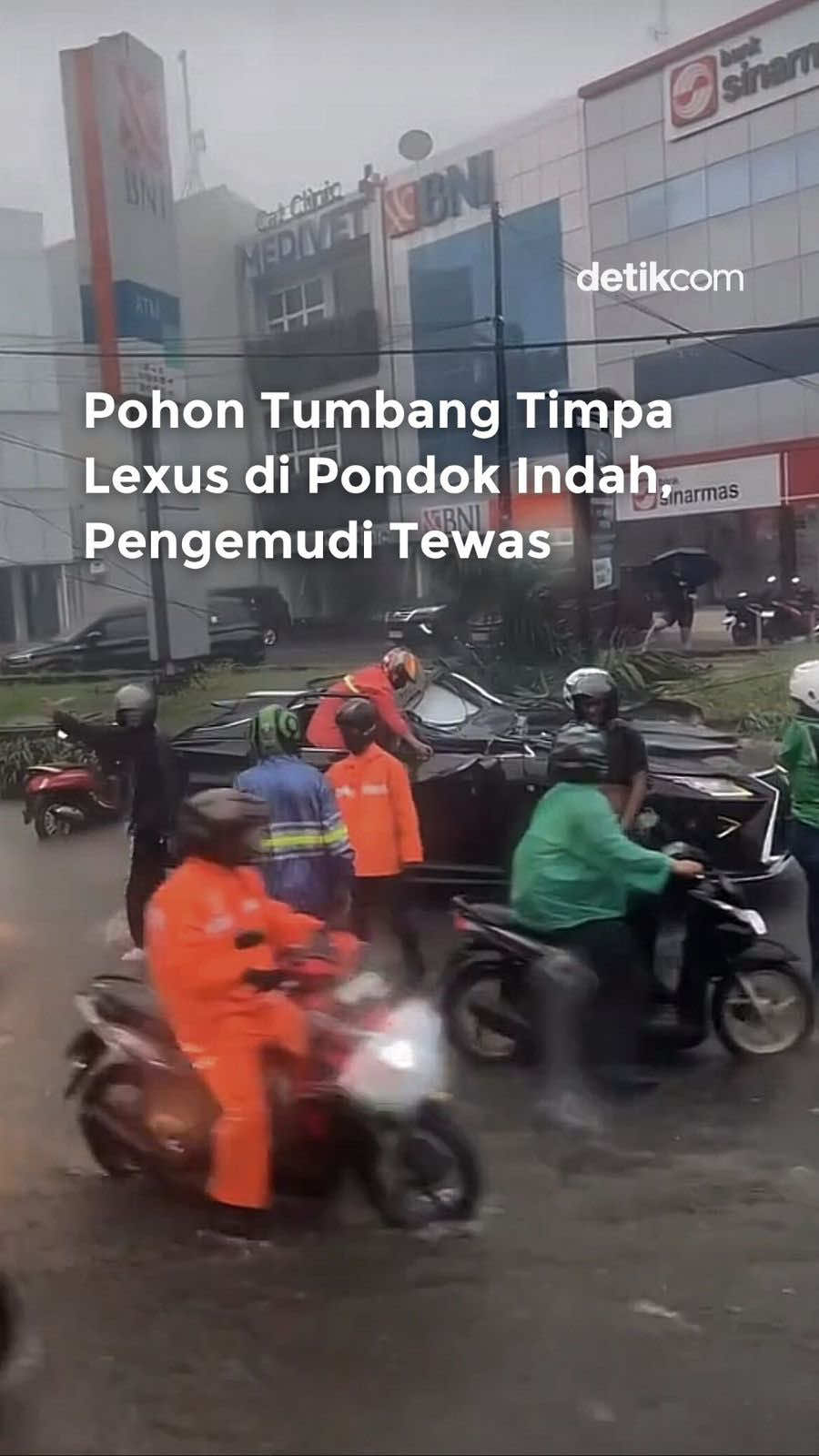 Satu unit mobil Lexus berwarna hitam tertimpa pohon tumbang di Pondok Indah, Jakarta Selatan, (26/10/2025). Peristiwa itu menyebabkan pengemudi mobil tewas. 