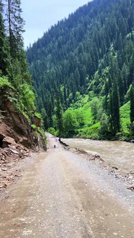 نام بھول گیا اس جگہ کا یار ، کیا نام ہے اس جگہ کا ؟ 🌿🏡🌸🌲 #fypシ゚viral🖤tiktok☆♡ #kashmirbeauty #نیلم_ویلی_جنت_ویلی #viralvideo #1millionviews @Wadi-e-Kashmir @Kashmir 🇵🇰 @Beauty of Kashmir ❤️ 