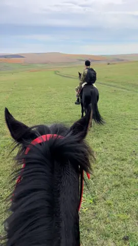 #поход #viral #duet #жорга #horse @Арслан Баисов @. @Ar @dzhm29 @secret 