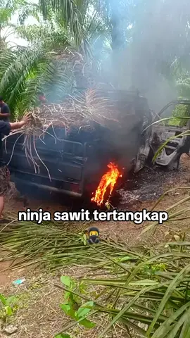 warga geram ninja sawit tertangkap mobil di bakar #salampetanisawit