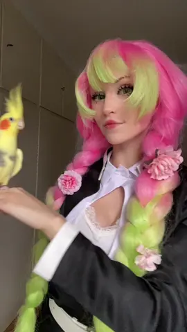 After 3 years she finally trusts me enough to sit on my hand 💛 (still not as calm as Rakan tho. XD)  #mitsuricosplay #demonslayer #Mitsuri #birb 