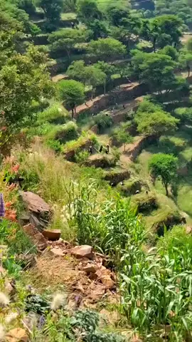 #الهاشتاجات_للشيوخ🧢🧢 