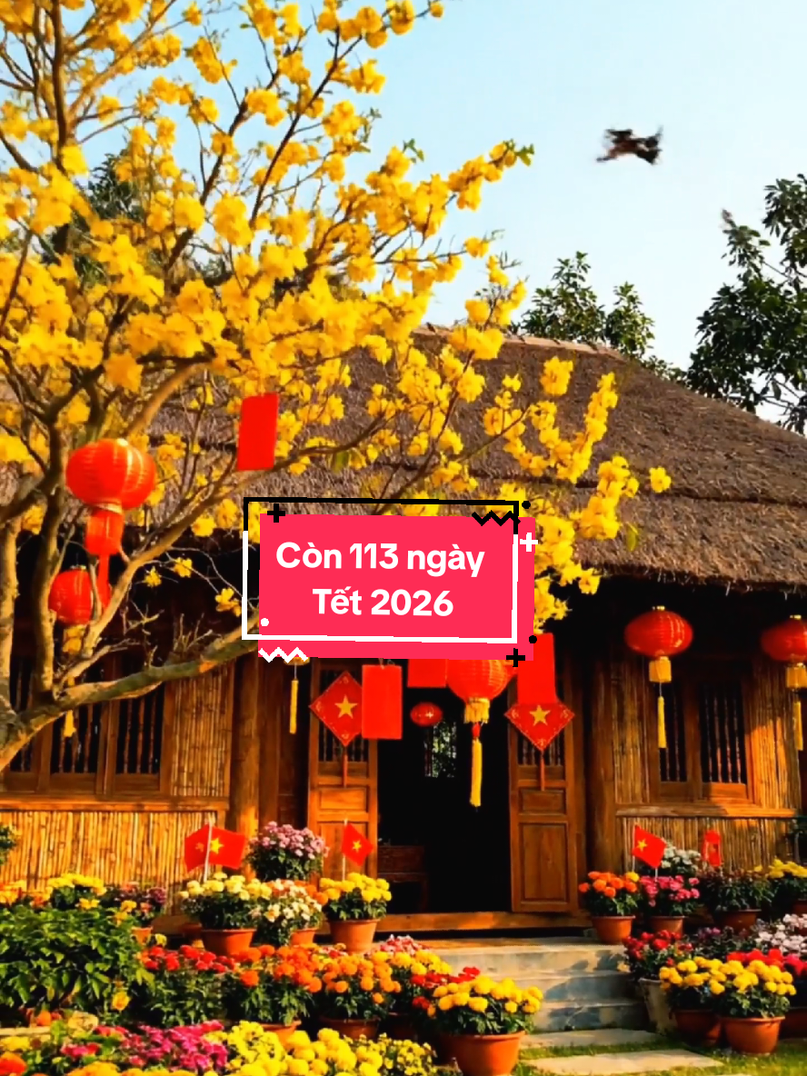 Cái cảm giác không phải đi làm 🍺  ăn chơi rồi ngủ🌸🧧🍻 Chỉ còn 113 ngày nữa  Tết 2026🌸#2026 #tet #muadong #shortvideo #tetbinhan 