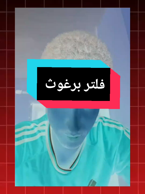 فلتر برغوث  #فلتر #مؤثر #شروحات_تيك_توك #ميزة_جديدة #المغرب🇲🇦تونس🇹🇳الجزائر🇩🇿 