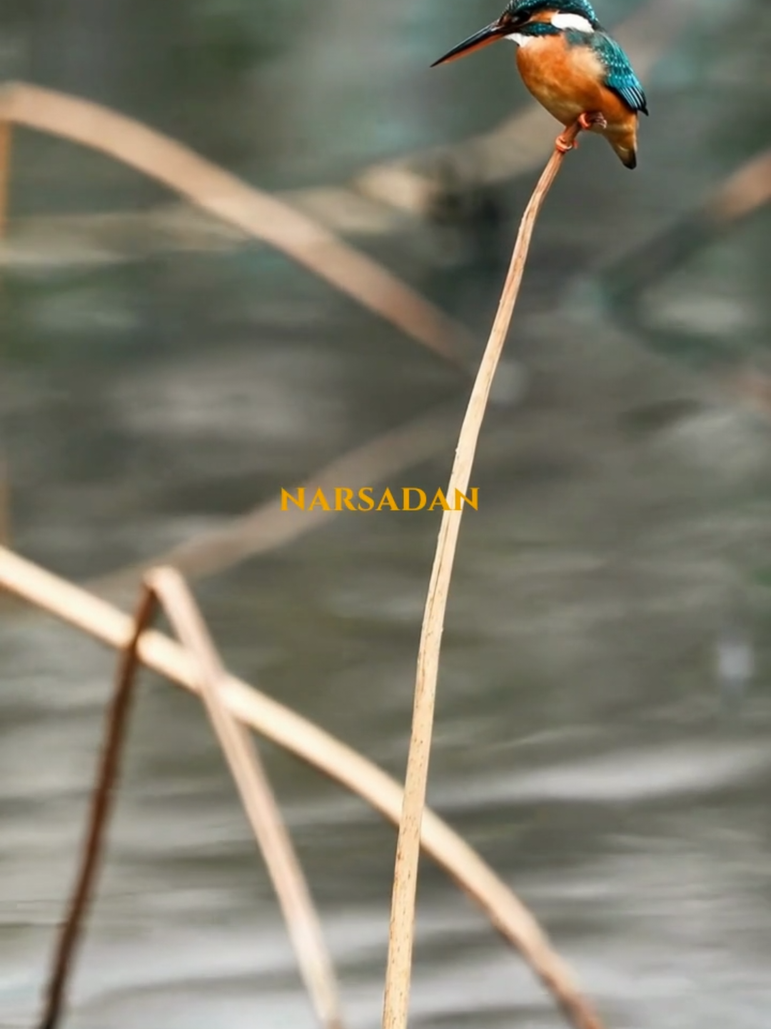 Abdulloh domla-qurqma va mahzun bo'lma #maruza #abdullohdomla #sabr 