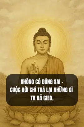 Người hiểu đạo không tìm đúng sai, chỉ nhìn nhân quả.                                                                                                                              NAM MÔ BỔN SƯ THÍCH CA MÂU NI PHẬT 🙏🏻.                                                                                           #nguoitruyenphap #loiphatday #phatphap #songtinhthuc 