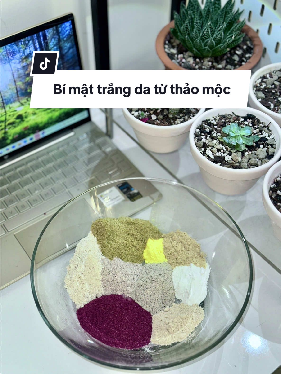 Một trong số những dược liệu khiến Nhi mê đấm đuối, một tuần phải sử dụng 3 - 4 lần là gì ? #NhiTran_Skincare #bột_ủ_đông_dược #lamdep #LearnOnTikTok @Daily of Nhi Trần 