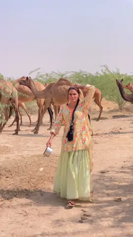 #viraltiktok #viralvideo #simplequeen👸👑 #plzunfrezemyaccount🥺🥺🙏 #سنگت_ویڈیو_وائرل_کریسو_آپ_ہیں🥀🌼🙈✨🎇 