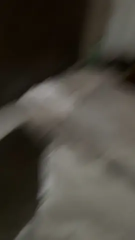 Malle ist nur einmal im Jahr #megapark #malle #closing @annika 