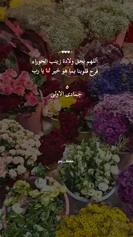 متباركين ✨️🤍 #يا_زينب #اكسبلورexplore 