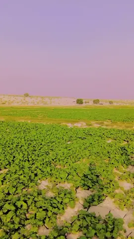 #masatjaniiii❤😘 #masatjaniiii❤😘 #masatjaniiii❤😘 #masatjaniiii❤😘 