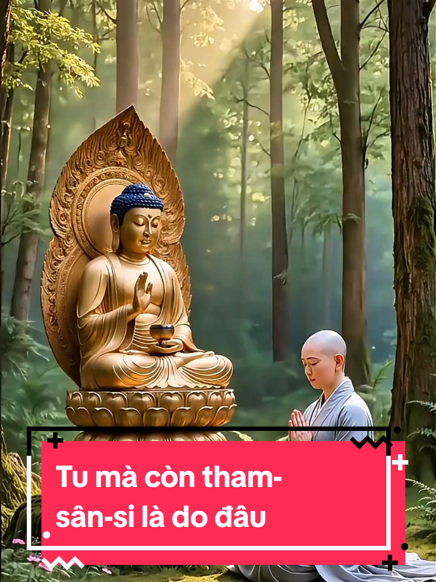 Tu mà còn tham- sân-si là do đâu #phatgiao  #phatgiao  #conđuonggiacngoconxa  #phatphapnhiemmau 