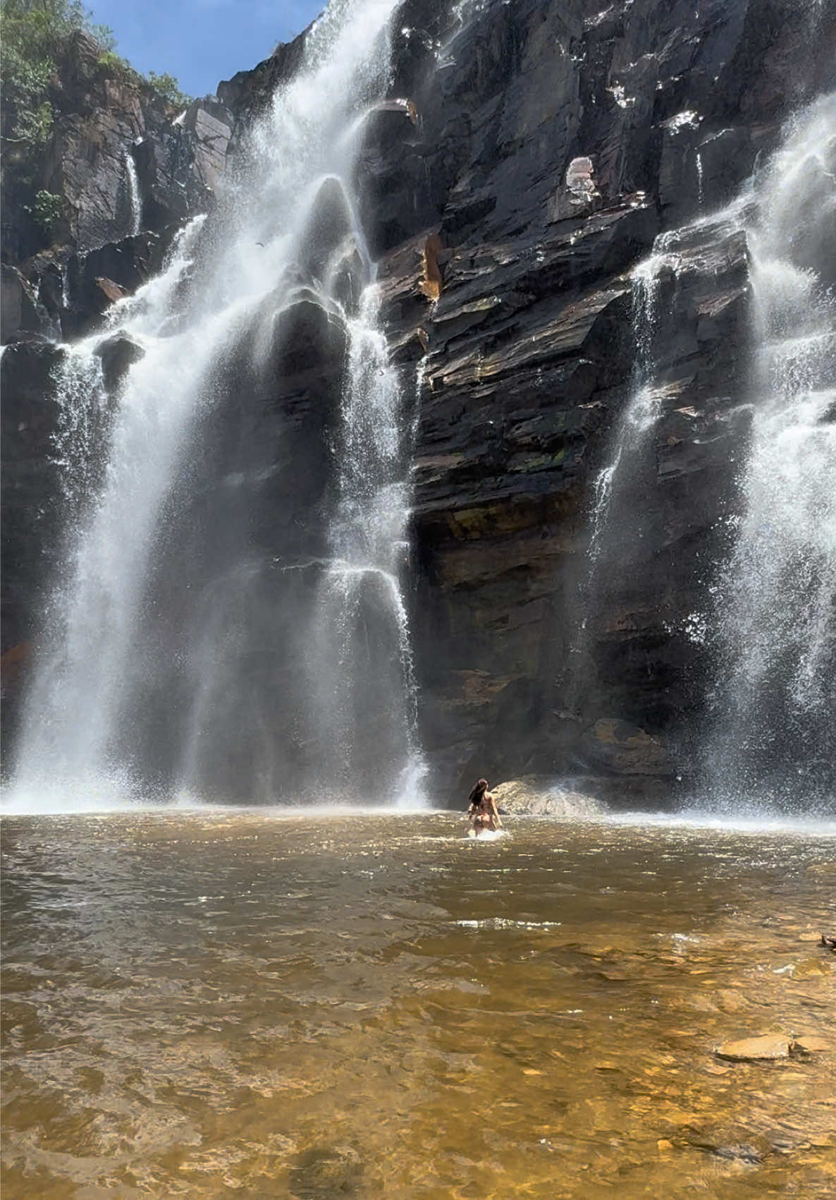 🤍🍃 #paz #natureza 
