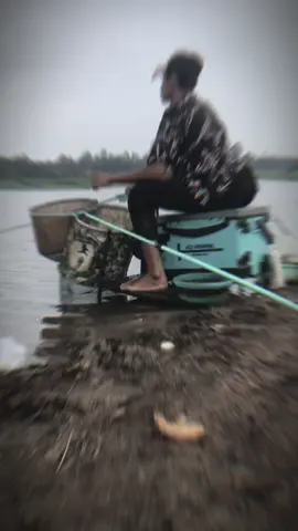 #CapCut cá bai cá bai#cauca #caucagiaitri #caucatunhien #caucagiaitri 