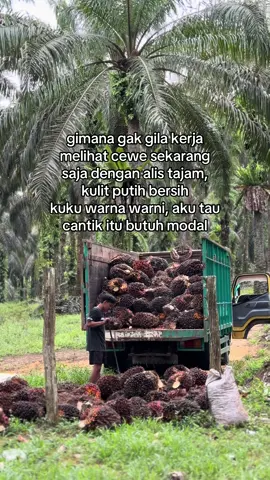 bukan begitu nona #sawitontiktok 