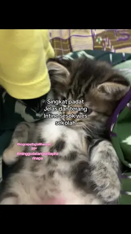 #fyppppppppppppppppppppppp #xyzbcafypシ #justcontent #4upage #contentcreatormuda 