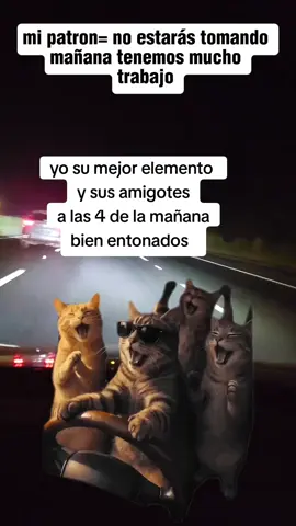 #CapCut #losjuramentos #humortiktok 