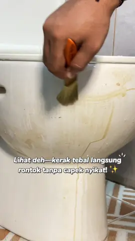 Ga usah perlu tenaga super ketika gosok toilettt  #fyp #homeliving #genio #kerak #pembersihkamarmandi 