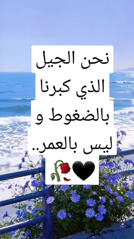 #الشعب_الصيني_ماله_حل #مشاهدات #اكسبلور 