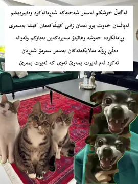 #fyyyyyyyyyyyyyyyyyyyyyyyyyyyyyyyyyy #foryou #pov #viraltiktok 