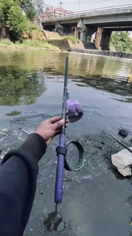 masih di spot yg sama✌🏻#fyp #beranda #mancingliar #tegekjogjastyle #boncos #xyzbca 